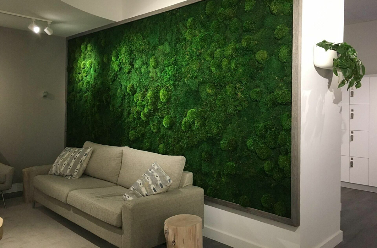 Biophilic Materials for Interior Design: How to get it right