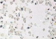 emerging-designers-2018-urban-terrazzo-01